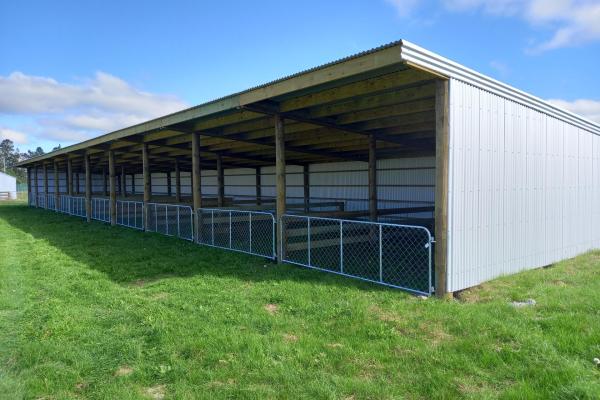 image of Calving Sheds: What to Consider When Building One